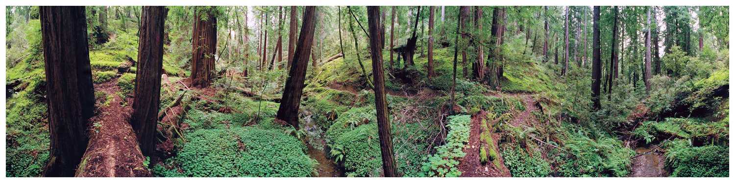 Log over Bear Creek panorama from VirtualParks.org